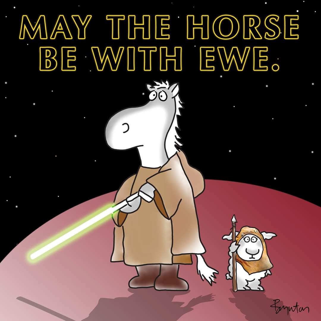 2020-05-04 May the Force Be.jpg